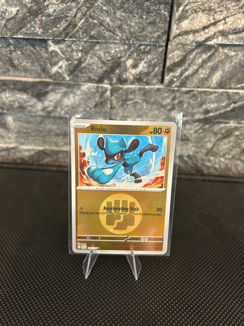 Pokemon Riolu 123/217‎ Reverse Holo Rare from Ascended Heroes Set M/NM